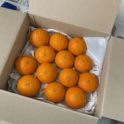차은*님의 리뷰 사진 1