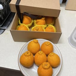 차채*님의 리뷰 사진 1